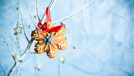 Gingerbread snowflakes for Christmas hanging on a twigの写真素材