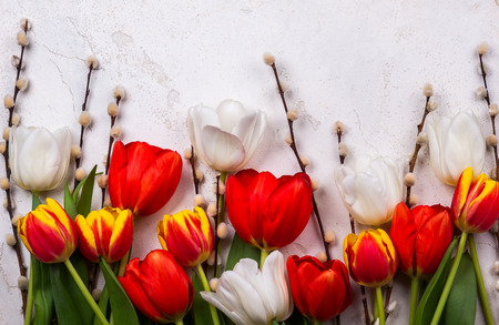 Colorful tulips with branches pussy willows for Easter Festive concept.の写真素材