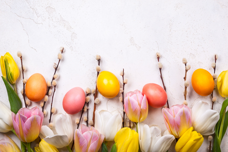 Colorful tulips with branches pussy willows.の写真素材