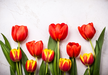 Red and yellow tulips on vintage background. Flat layの写真素材