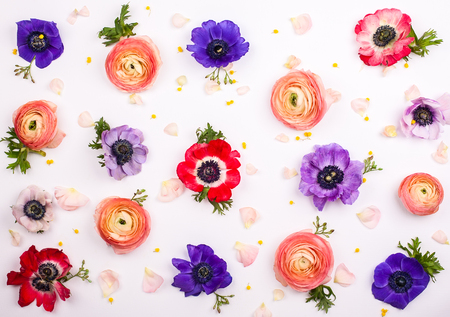 Floral pattern made of fresh  buttercups and anemones on white background. Flat lay, top viewの写真素材