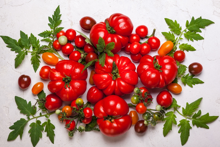 Various fresh tomatoes with green leaves. Top viewの写真素材
