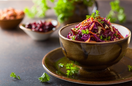 Red cabbage, carrot, apple salad with nuts and cranberry. Coleslaw for autumn or winter season.の写真素材