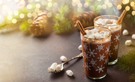 Hot chocolate with marshmallows and cinnamon in glass cups for Christmasの写真素材