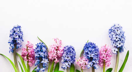 Flowers composition with lilac and pink hyacinths. Spring flowers on white background. Easter concept. Flat lay, top view.の写真素材