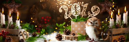 Christmas or New Year festive cardの写真素材