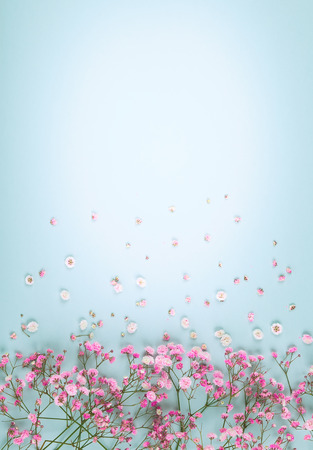 Spring floral composition made of fresh pink flowers on light pastelの写真素材