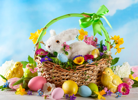 Easter composition with little white bunny in basket, chicks, spring flowers and colorful Easter...
