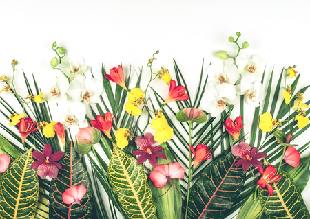 Tropical leaves and exotic flowers on white background.の写真素材