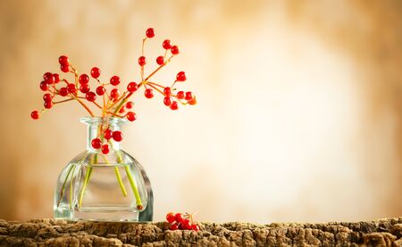 Beautiful autumn red berries in glass bottle on wood  at bokehの写真素材