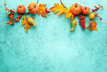 Autumn concept with pumpkins, flowers, autumn leaves and rowan berries on a turquoiseの写真素材