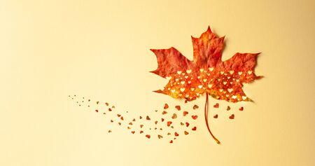Creative Autumn concept with heart cut from natural red maple leaf. Flat lay, copy space.の写真素材