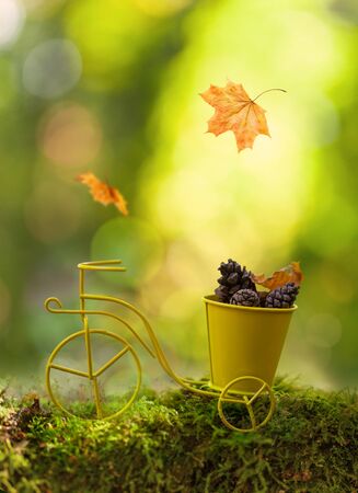 Autumn background with a retro toy miniature bicycle, pine cones and autumn leaves. Autumn season, bokeh background. Soft focusの写真素材