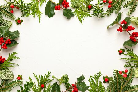 Christmas background with branches of fir tree, evergreens and holly with red berries on white. Winter nature concept. Flat lay, copy space.の写真素材