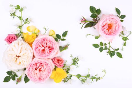 Beautiful fresh  flowers on white background. Festive floral background. Top view with copy space.の写真素材