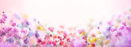 Spring floral composition made of fresh colorful flowers on light pastelの写真素材