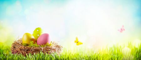 Easter composition with colorful Easter eggs in nest on green grass. Easter concept with copy space.の写真素材