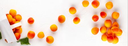 Fresh organic apricots on whiteの写真素材