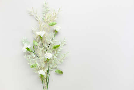Flower composition made of dried light-green leaves of ruscus and white flowers on pastel gray...
