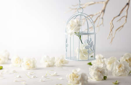 Still life with white flowers in bird cage on light backdrop. Creative concept for celebration of mother day, birthday, wedding or Valentines dayの写真素材