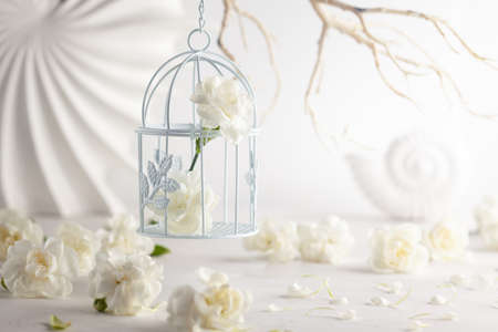 Still life with white flowers in bird cage on light backdrop. Creative concept for celebration of mother day, birthday, wedding or Valentines dayの写真素材