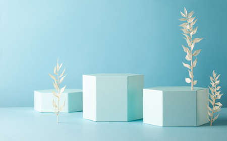 Abstract background with hexagon shape podiums for products presentation or exhibitions. Composition of different geometric objects with copy space.の写真素材