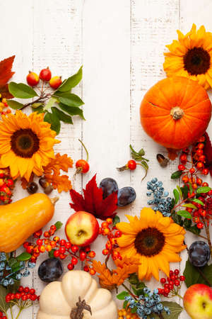 Autumn composition with pumpkins, fruits, sunflowers, leaves and berries on white wooden table. Flat lay, copy space. Concept of fall harvest or Thanksgiving day.の写真素材