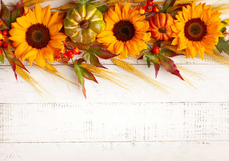 Concept of fall harvest or Thanksgiving day. Autumn composition with pumpkins, wheat ears and sunflowers on white wooden table. Flat lay, copy spaceの写真素材