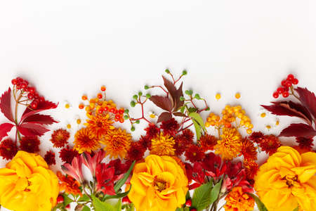 Autumn composition with flowers, leaves and berries on white background. Flat lay, copy space.の写真素材