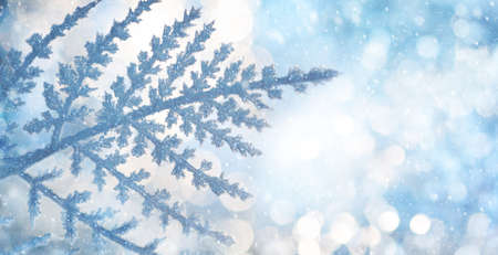 Beautiful Christmas or Winter background with snowy and icy branches of plants on shiny bokeh...