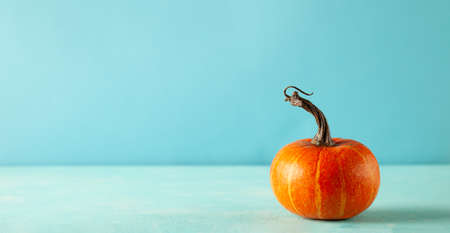 Small orange pumpkin on pastel blue background with copy space. Concept celebration of Halloween or...