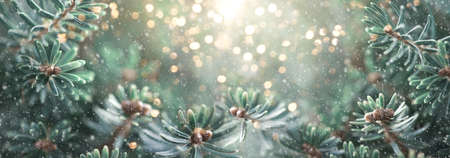 Beautiful green fir tree branches with snow close up. Christmas and winter concept. Soft focus, macro.の写真素材