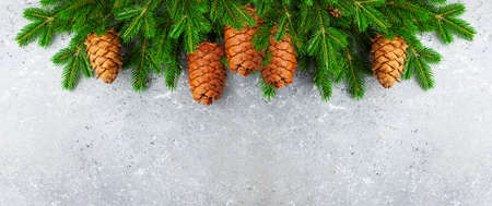 Christmas or New Year background with green fir branches and cones. Winter concept, top view, copy...