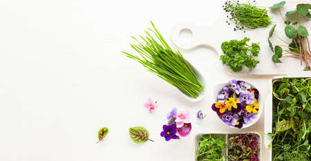 Different types of organic microgreens sprouts and edible flowers. Vegetarian, clean and healthy eating concept. Seed germination at home.の写真素材