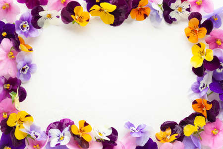 Spring or summer flower composition with edible pansy and violets on white background. Flower frame, copy space. Healthy life concept.の写真素材