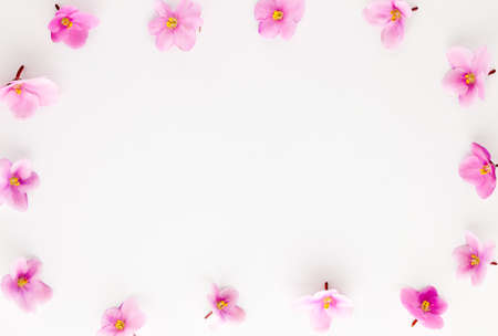 Spring or summer flower composition with edible violets on white background. Flat lay, copy space. Healthy life and flowers concept.の写真素材