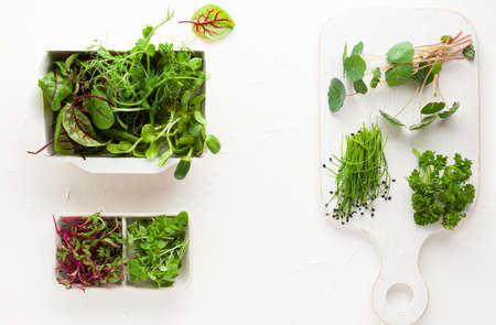 Different types of organic microgreens sprouts. Vegetarian, clean and healthy eating concept. Seed...