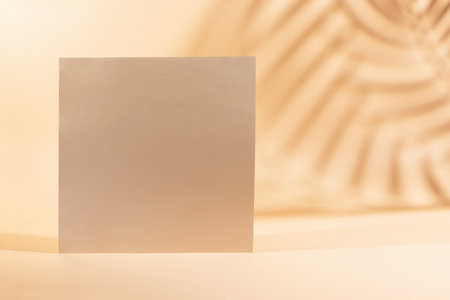 Gold Paper sheet or blank card with realistic leaf shadows. Creative background with empty sheet of paper with copy space.の写真素材