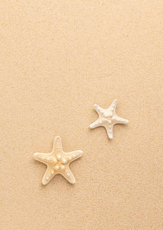 Summer sea or beach concept. Starfishes on sand. Top view. Copy space. Banner.の写真素材
