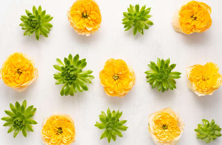Composition of beautiful green succulent plants and yellow garden roses on light background. Top...