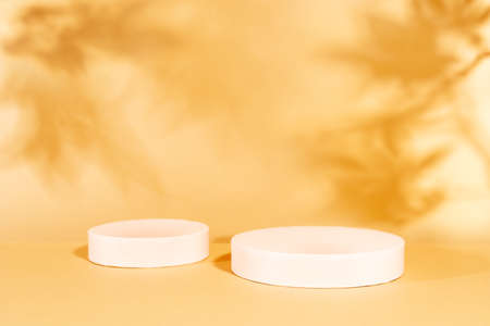 Autumn background with geometric podiums and shadow of the maple tree leaves on a wall. Abstract Autumn scene with copy space.の写真素材