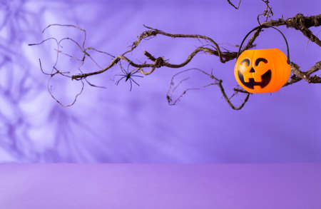 Halloween pumpkin bucket for candy hanging on leafless branches over purple background. Halloween party concept.Holiday decoration.の写真素材