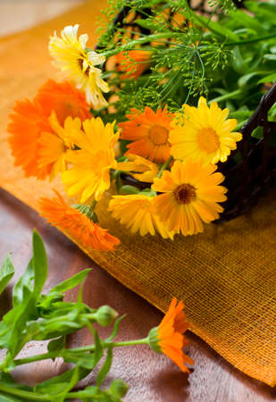 yellow and orange marigoldsの写真素材