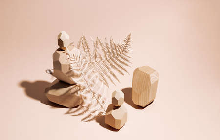 Composition of geometric wooden balancing stones with plant. Concept of balance, eco frendly. Pastel...
