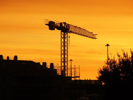 Craneの写真素材