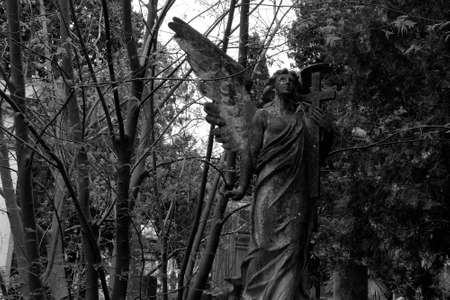 Angelo and skeletal treesの写真素材