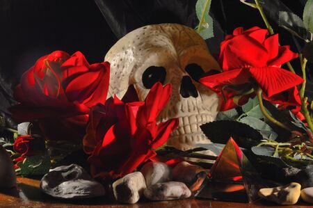 skullの写真素材