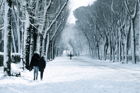 Snow in Romeの写真素材