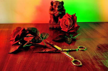 Cut flower on the table.の写真素材