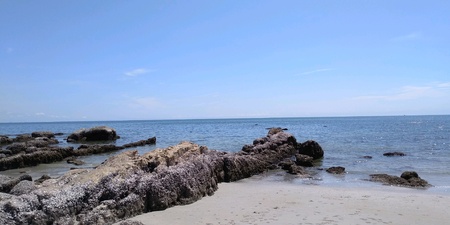 Rocky Shoreの素材